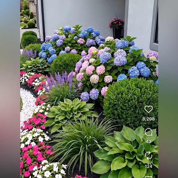 dianaropero407